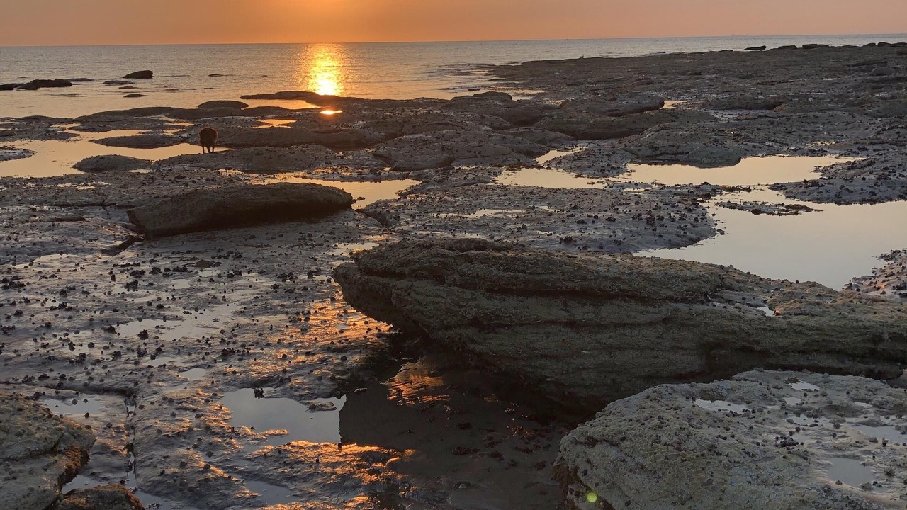 Photo of Others in Audresselles