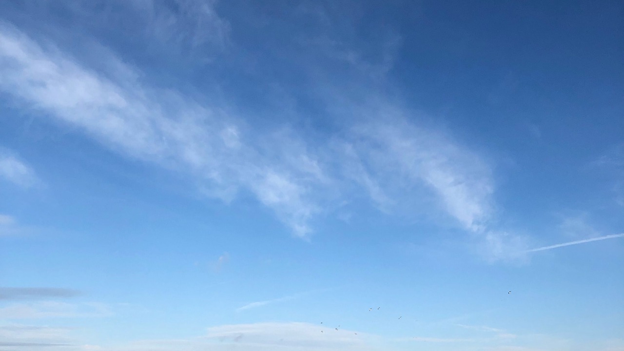 Photo of Others in Audresselles