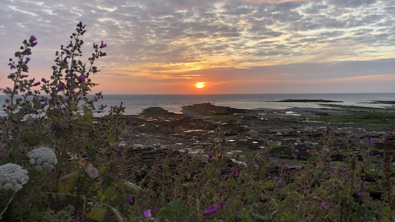 Photo of Others in Audresselles