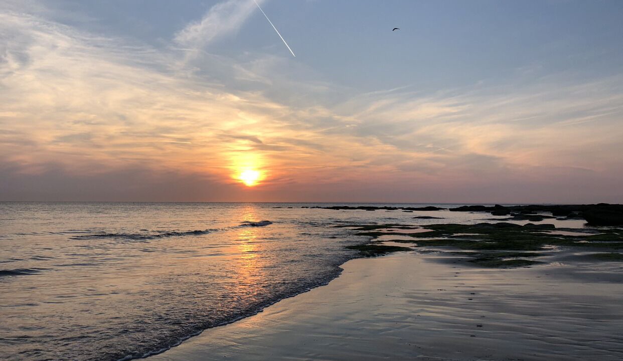 Photo of Others in Audresselles