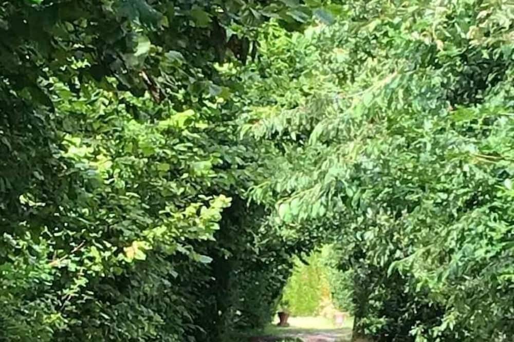 Photo of Outdoor in Le Brethon