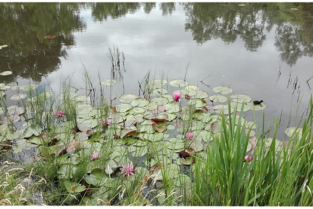 Photo of Outdoor in Le Brethon