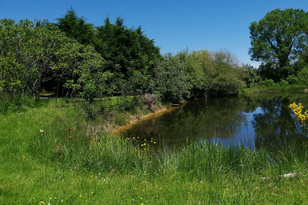 Photo of Outdoor in Le Brethon