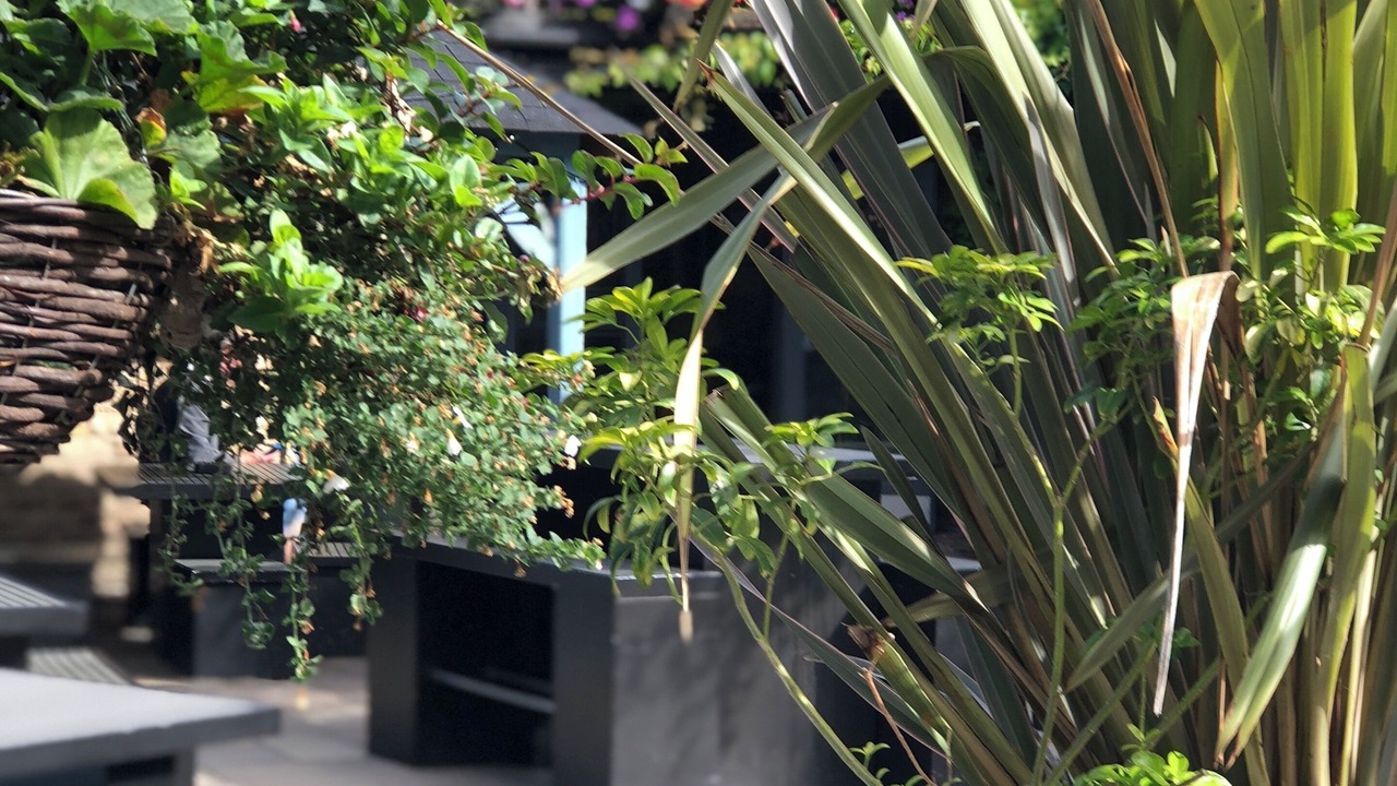 Photo of Outdoor in Market Deeping