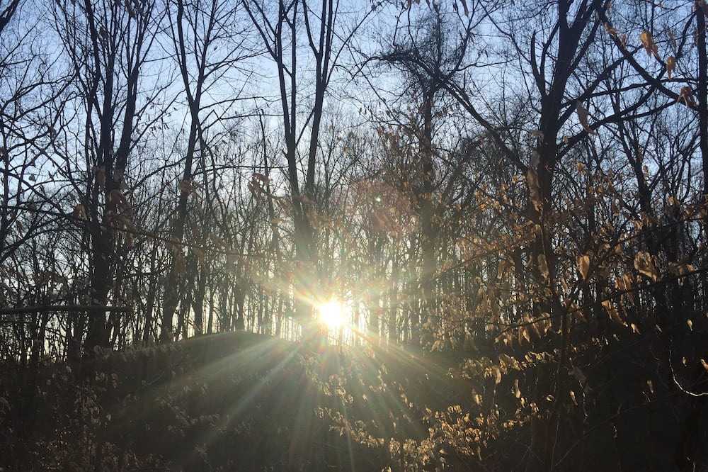 Photo of Outdoor in West Chester