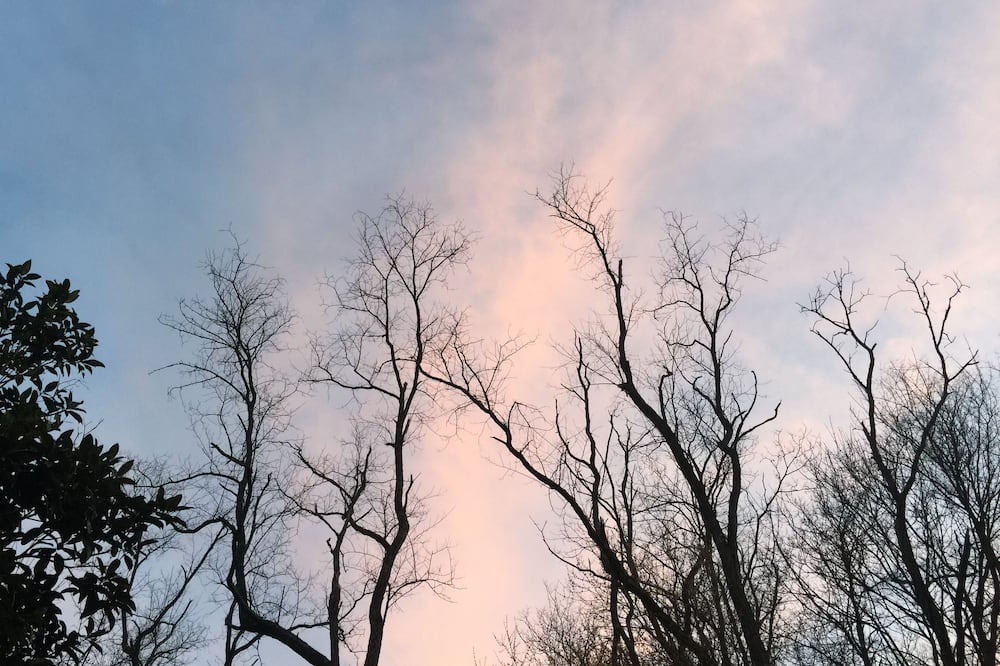 Photo of Others in West Chester