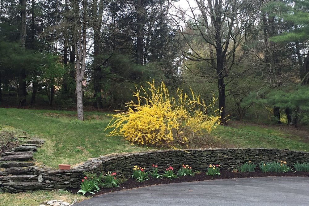 Photo of Outdoor in West Chester