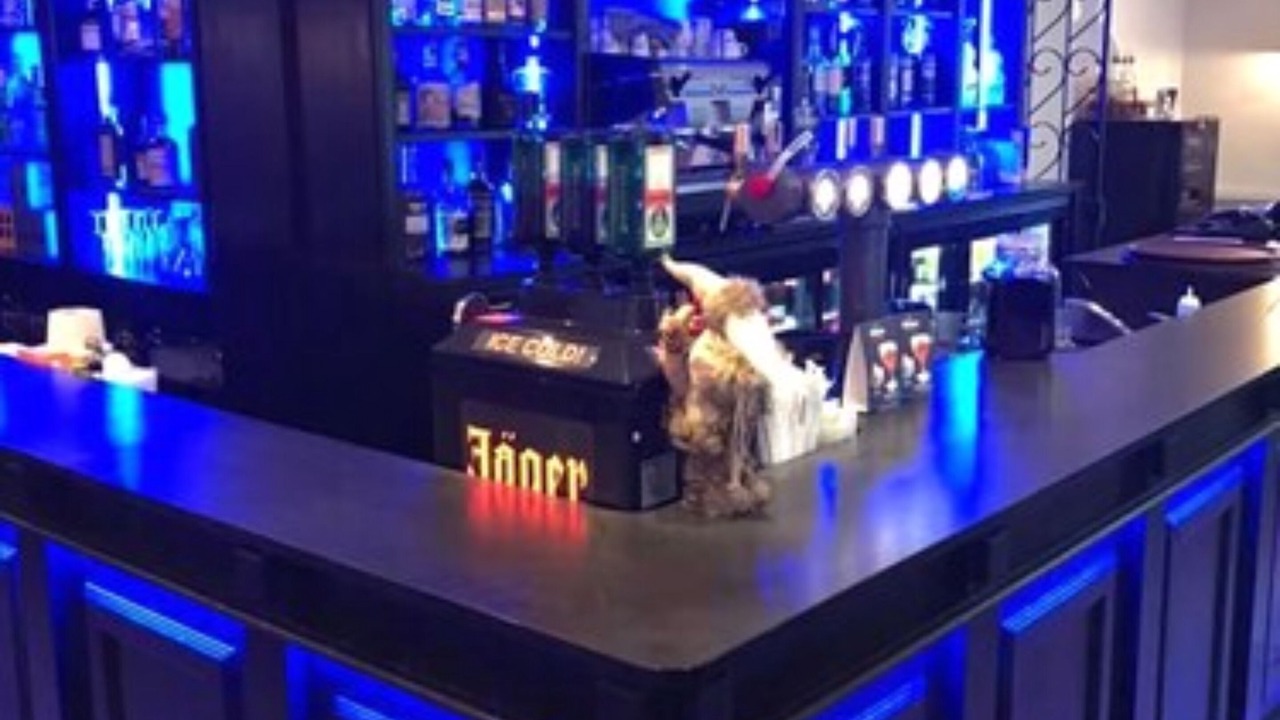 Photo of Others in Moulins