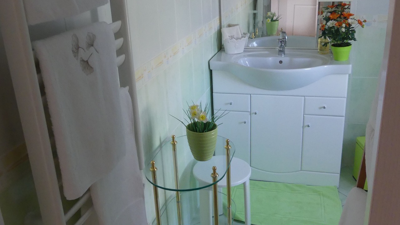 Photo of Bathroom in Le Perrier