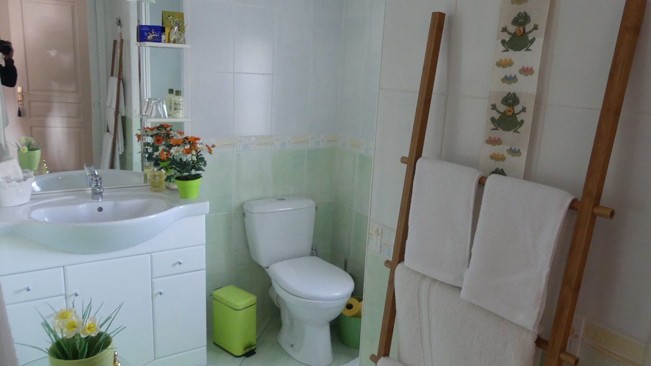 Photo of Bathroom in Le Perrier