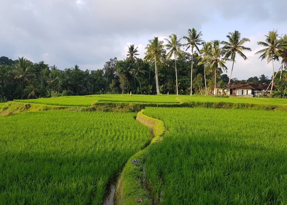 Photo of Outdoor in Sambahan