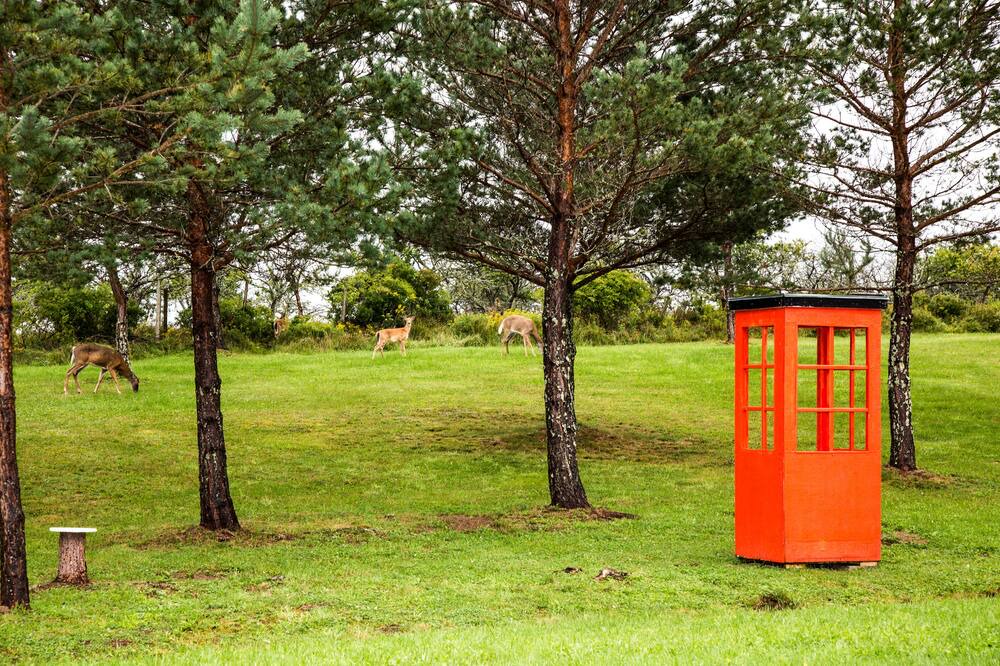 Photo of Outdoor in Lunenburg