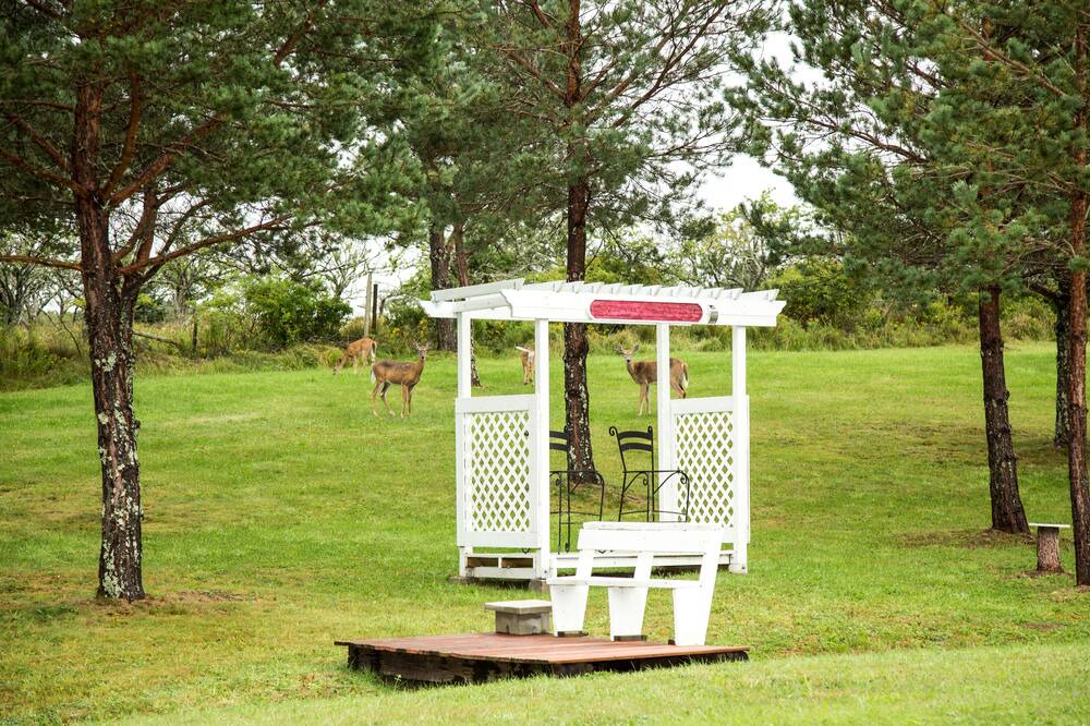 Photo of Outdoor in Lunenburg