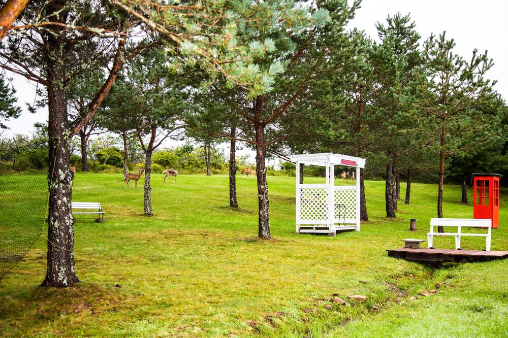 Photo of Outdoor in Lunenburg