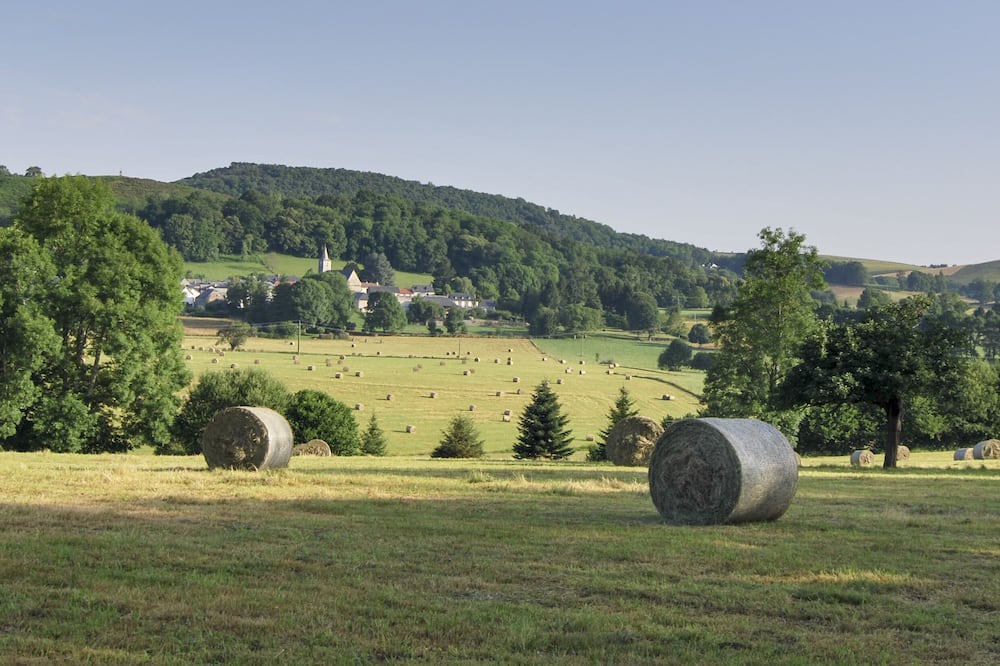 Photo of Others in Clarac