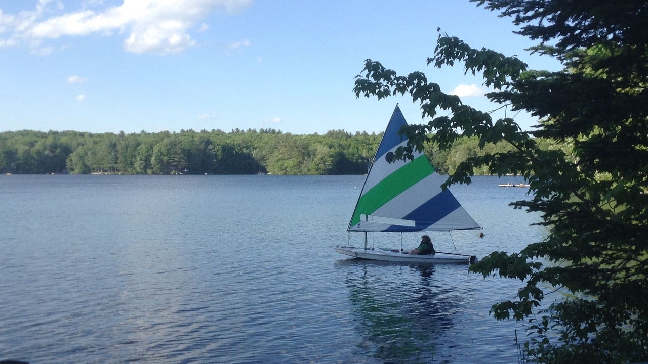 Photo of Others in Lyman