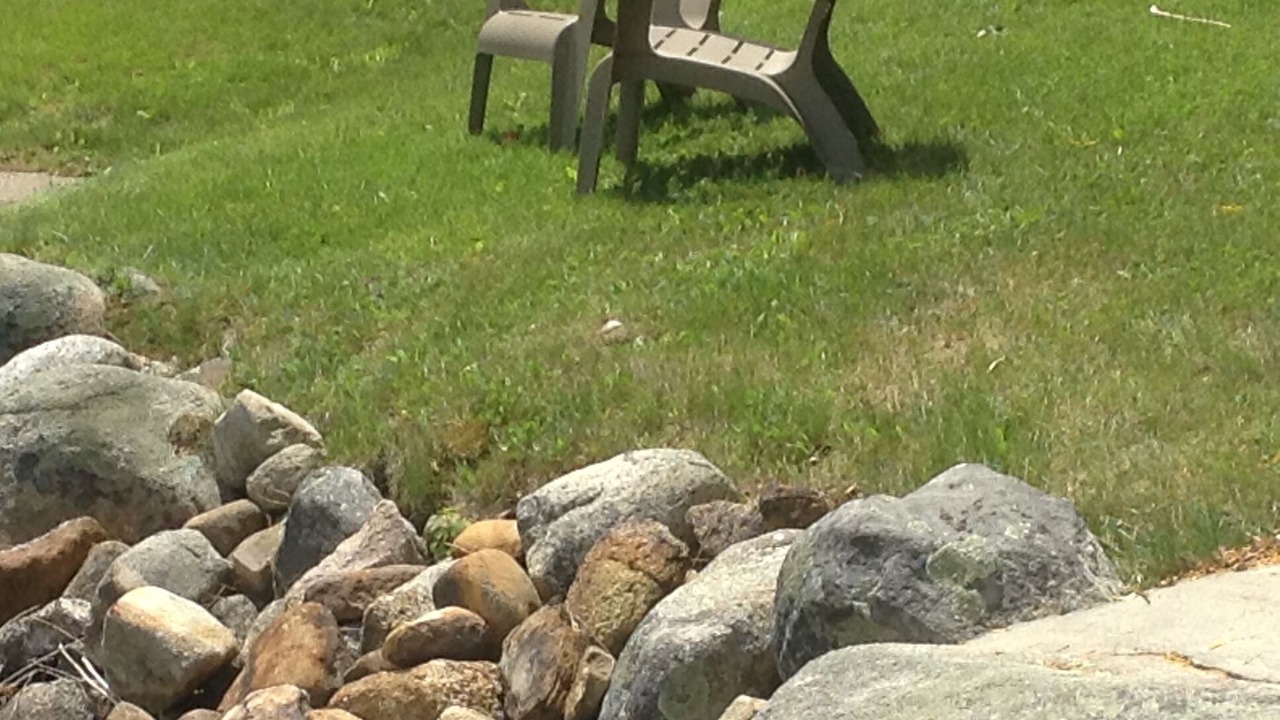 Photo of Outdoor in Lyman