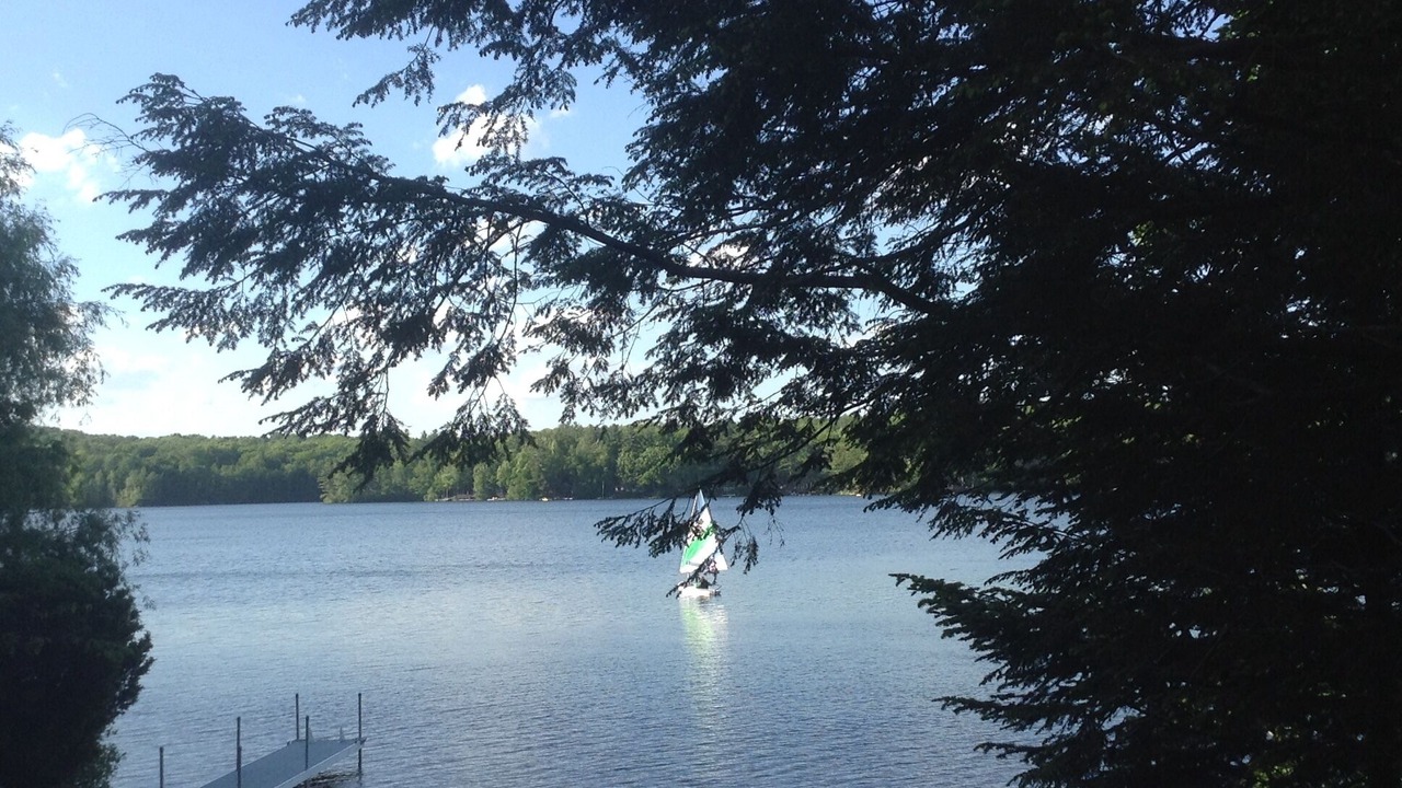 Photo of Others in Lyman