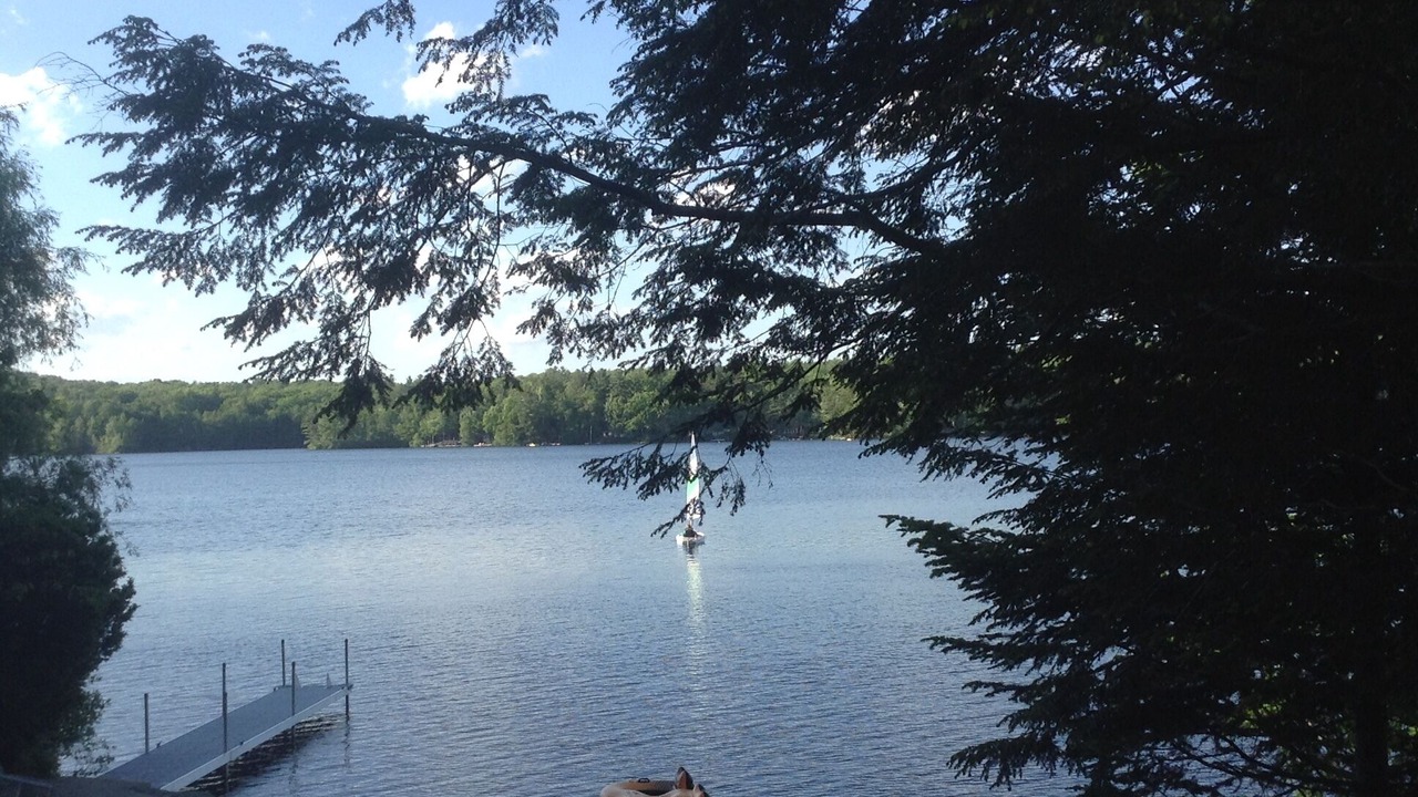 Photo of Others in Lyman