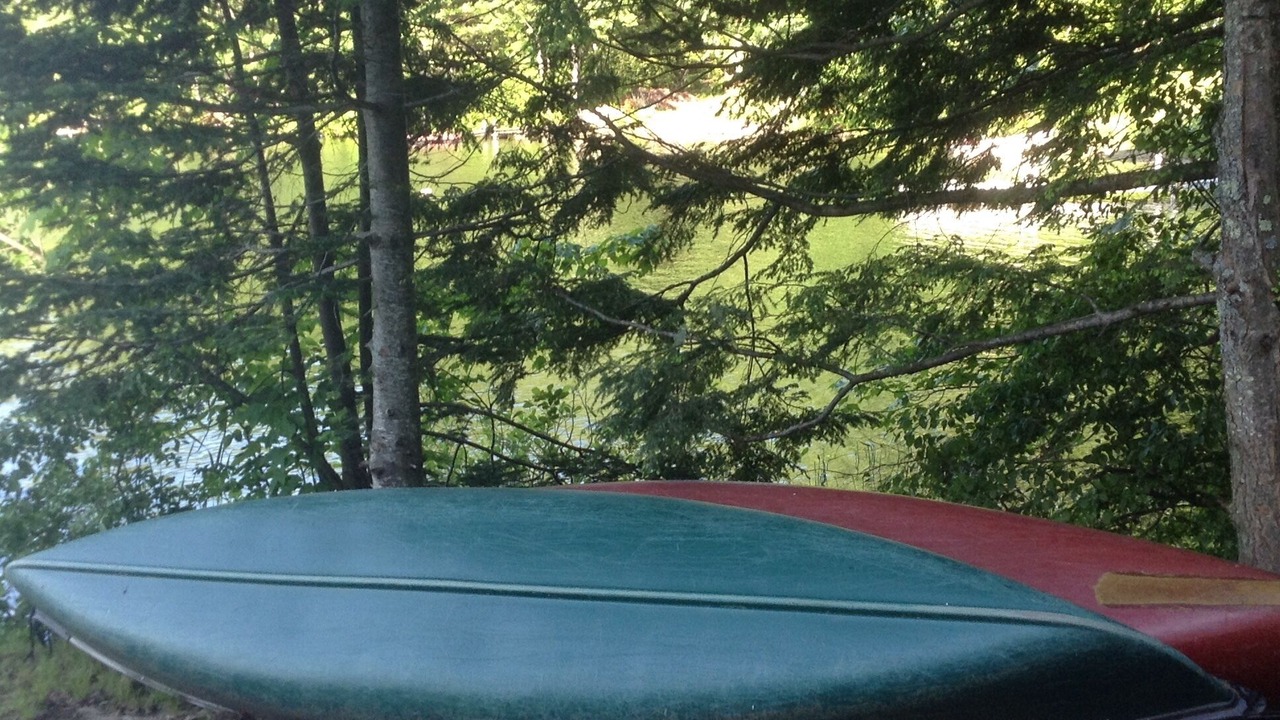 Photo of Others in Lyman