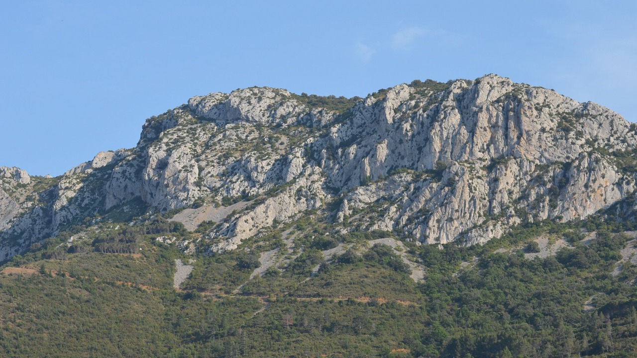 Photo of Bedroom in Maury
