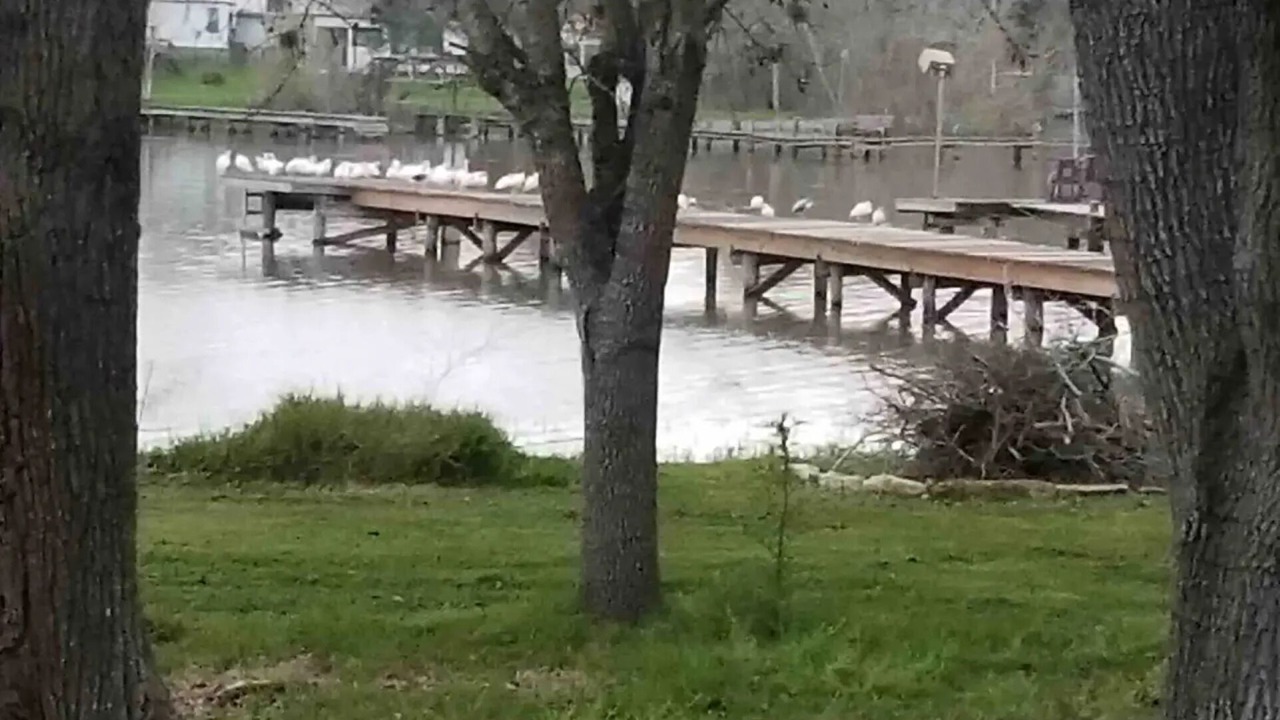 Photo of Outdoor in Dinero