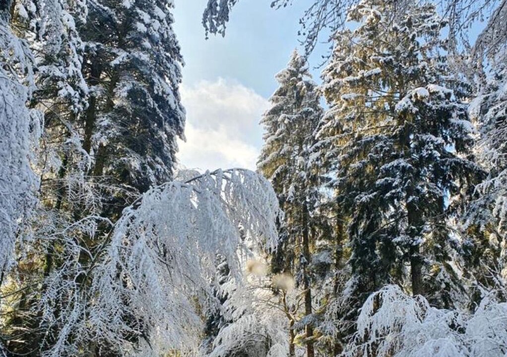 Photo of Others in Lathuile
