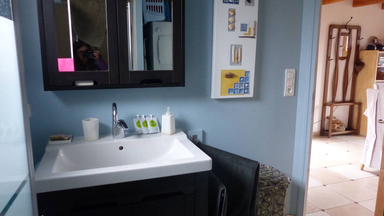 Photo of Bathroom in La Chapelle-des-Marais