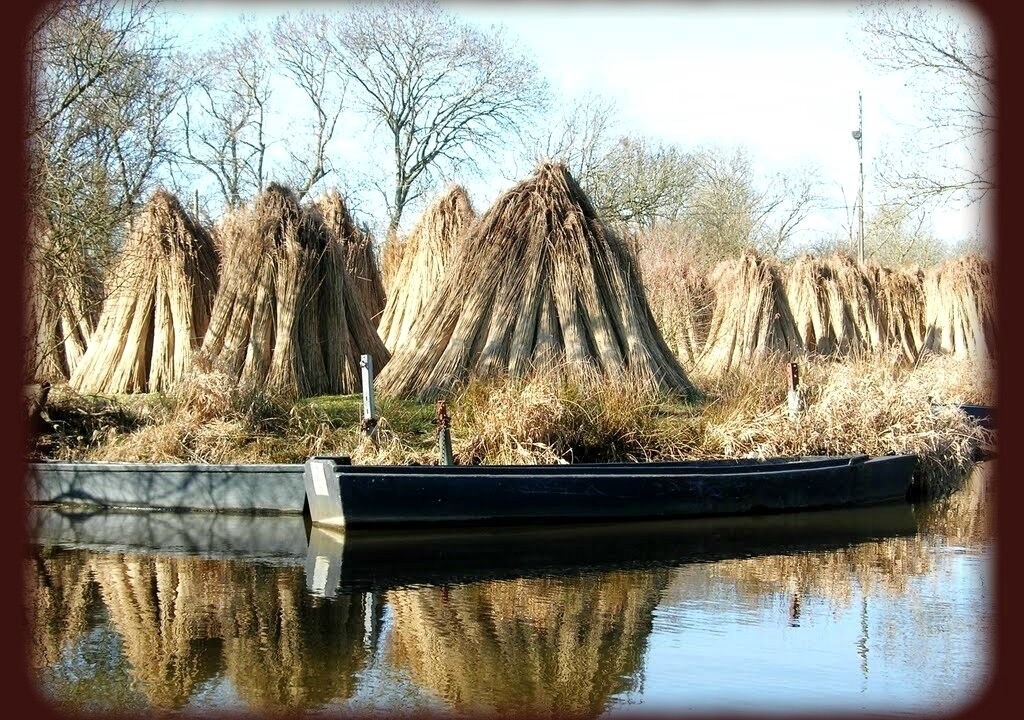 Photo of Outdoor in La Chapelle-des-Marais