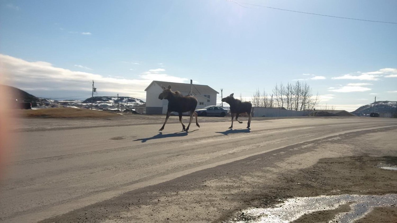 Photo of Others in St. Anthony