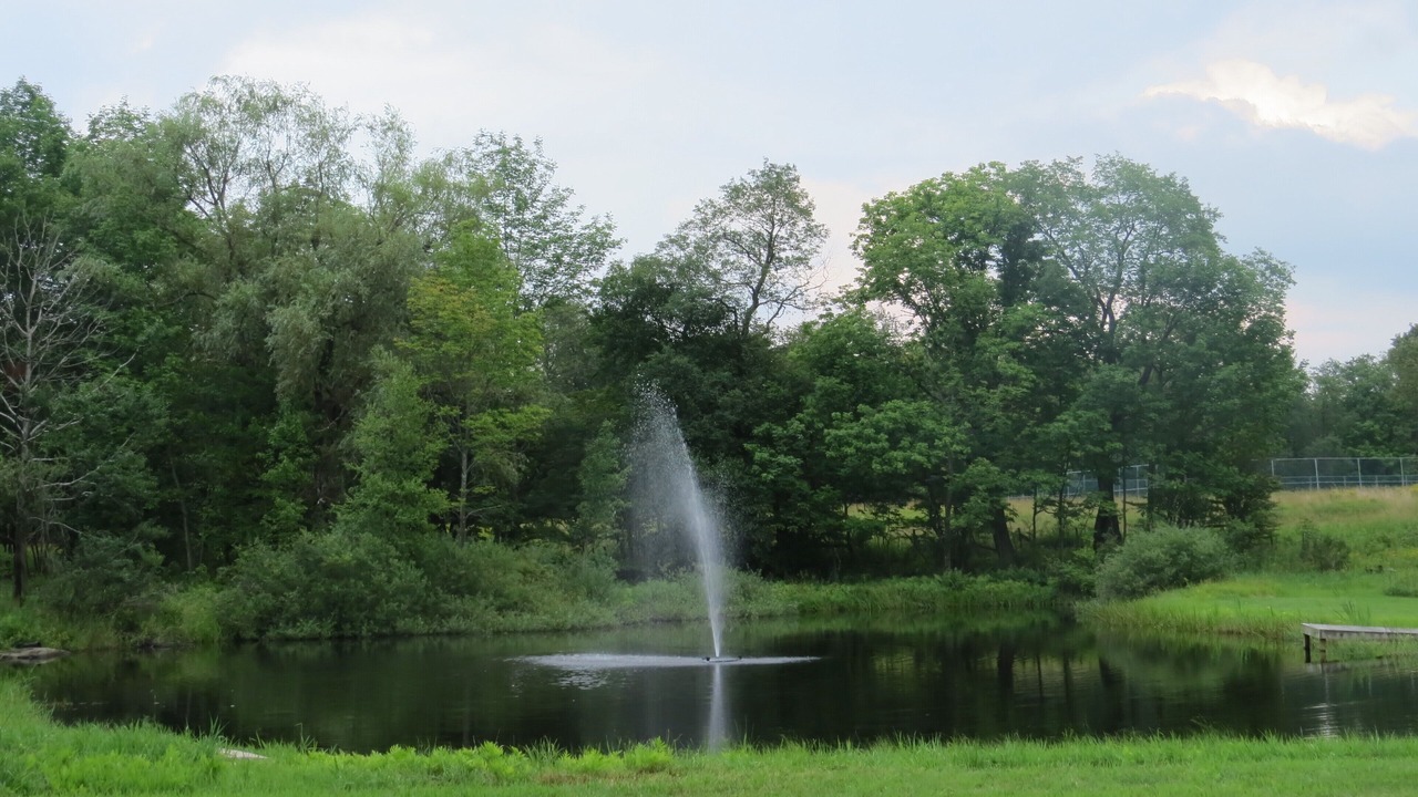 Photo of Others in Pleasant Mount