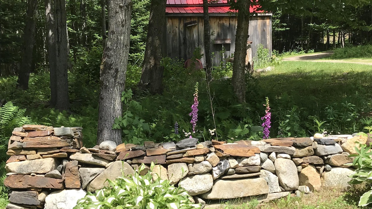 Photo of Outdoor in Errol