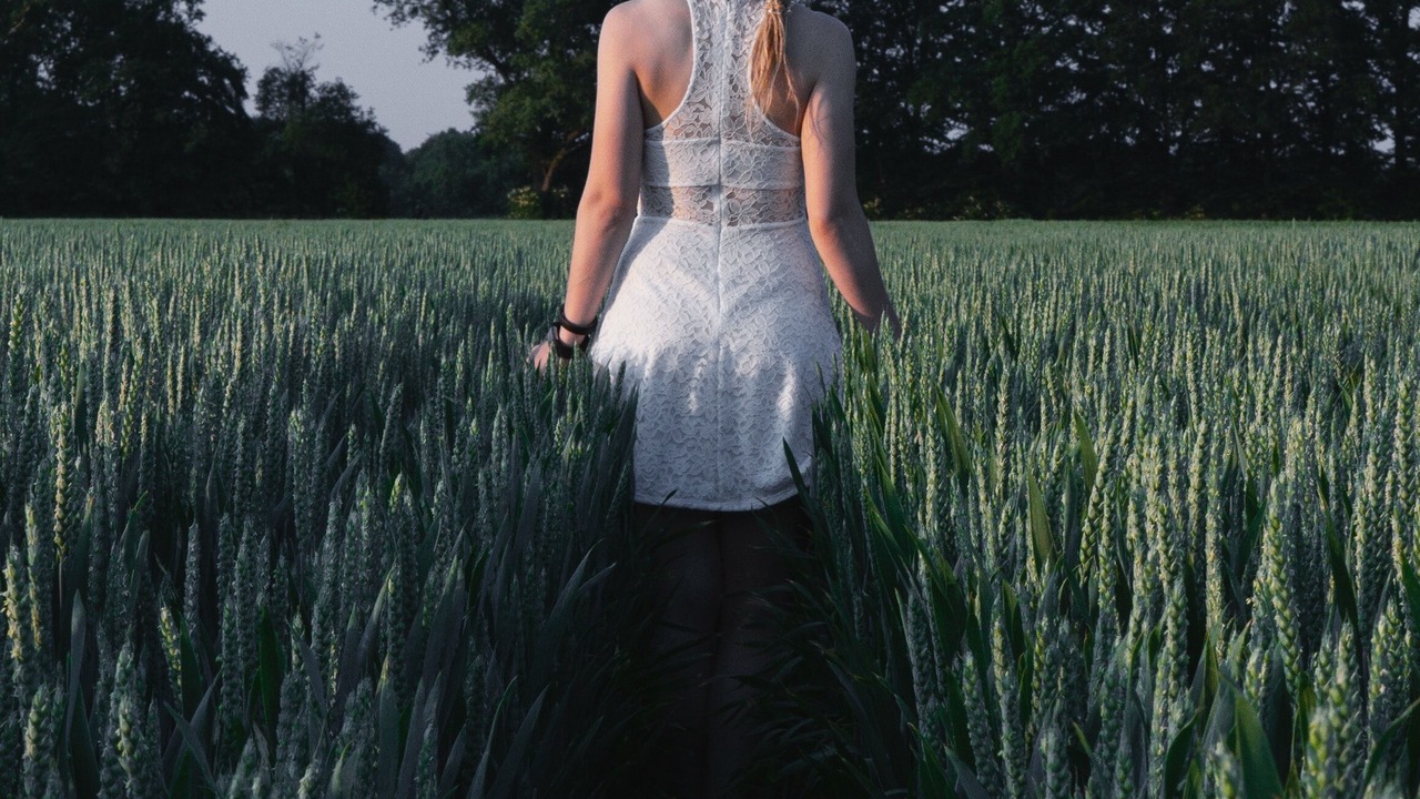 Photo of Outdoor in Pleasant Mount