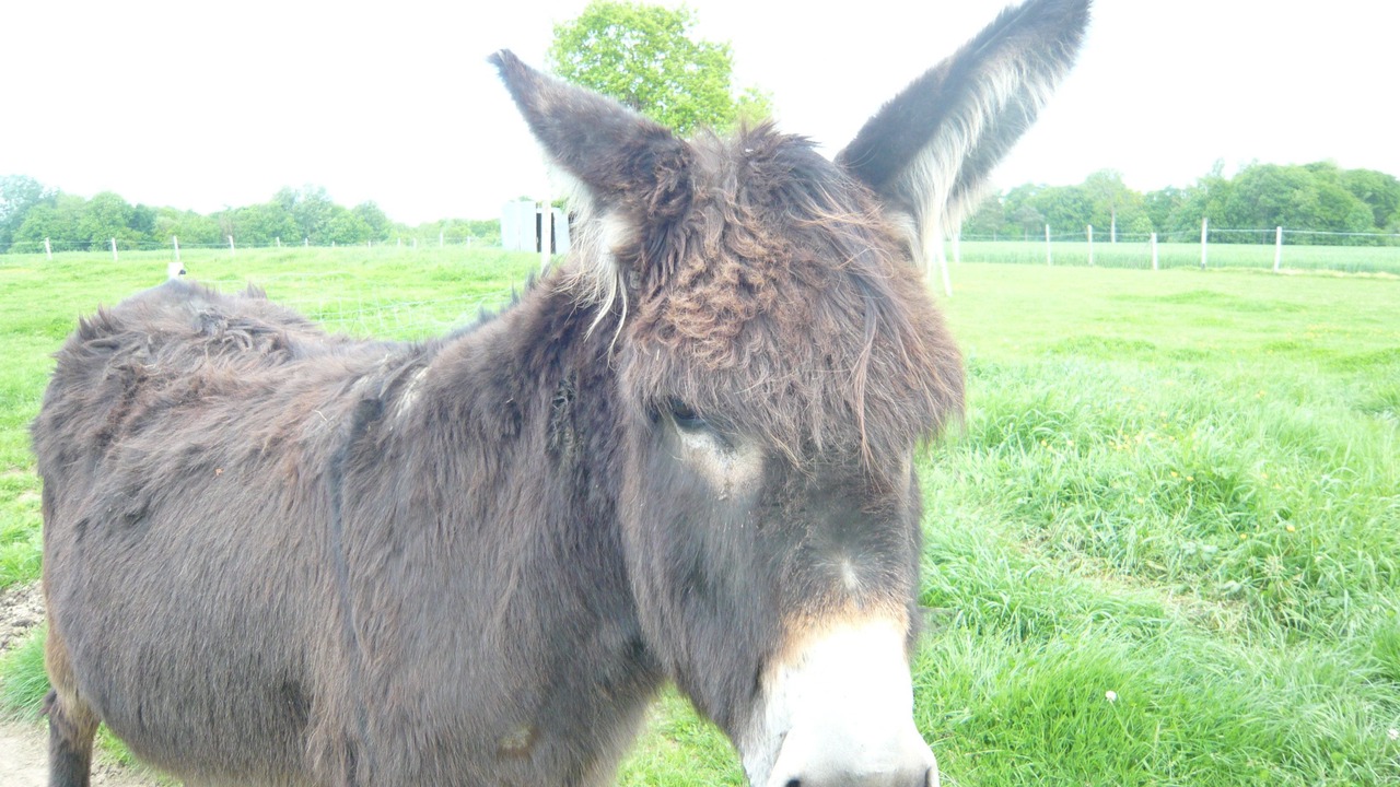Photo of Others in Pleudihen-sur-Rance