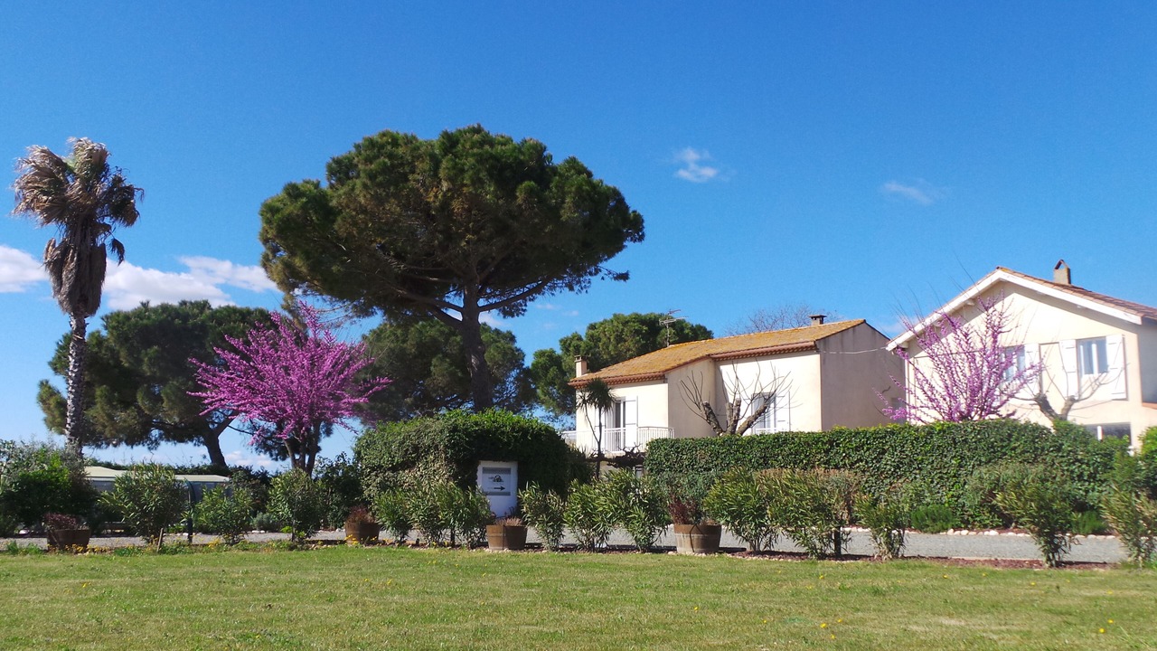 Photo of Outdoor in Montady