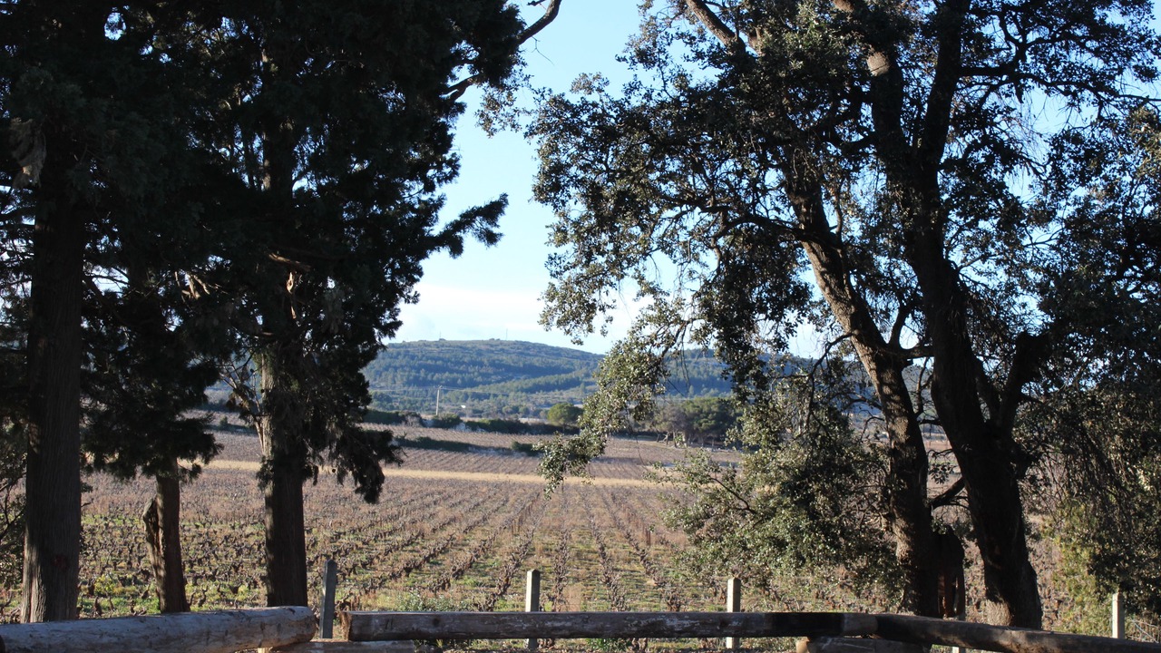 Photo of Outdoor in Frontignan