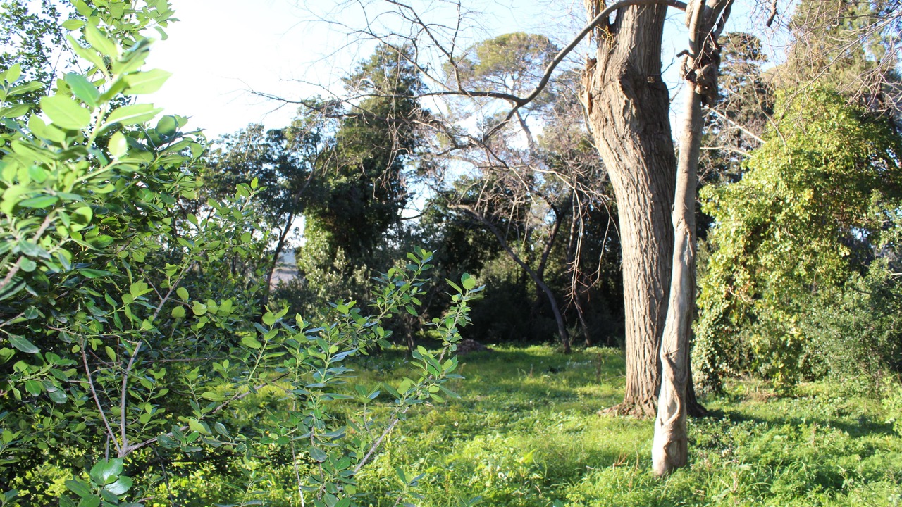 Photo of Outdoor in Frontignan