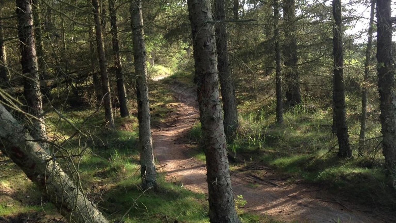 Photo of Outdoor in Fjerritslev