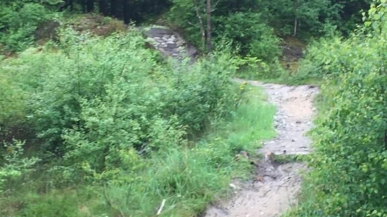 Photo of Outdoor in Fjerritslev