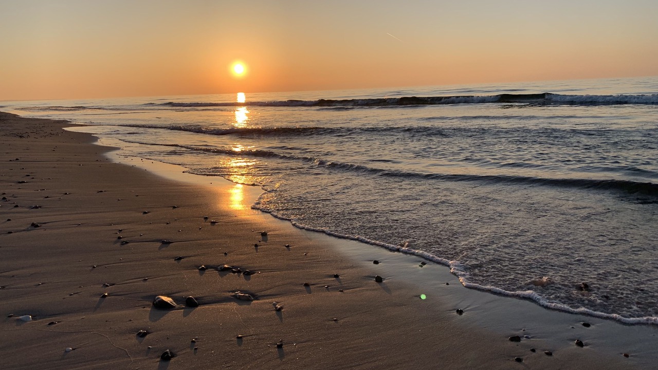 Photo of Others in Fjerritslev