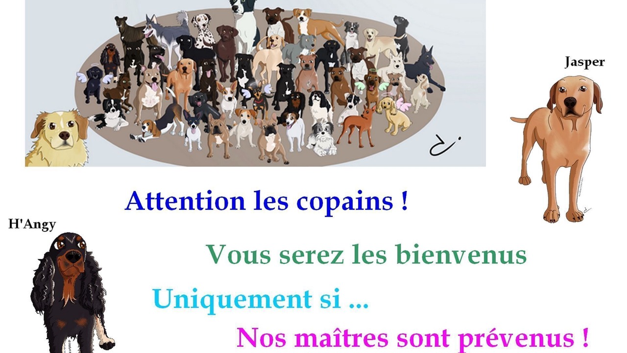 Photo of Others in Courlay