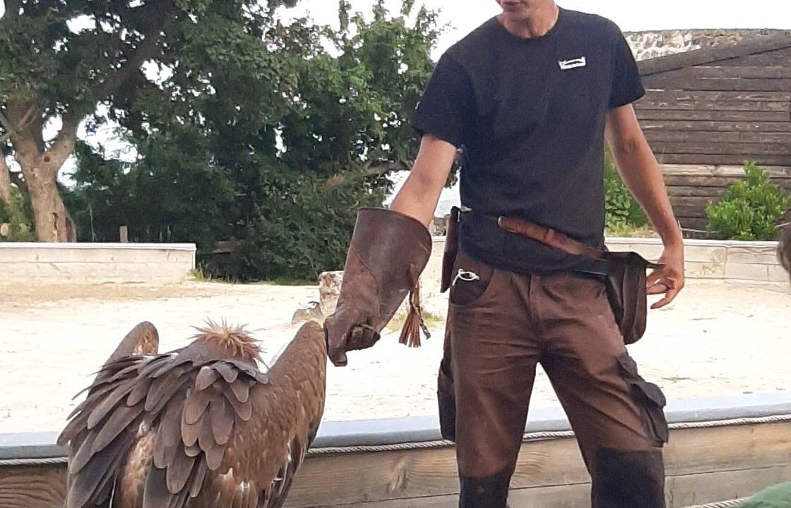 Photo of Others in Montbrison