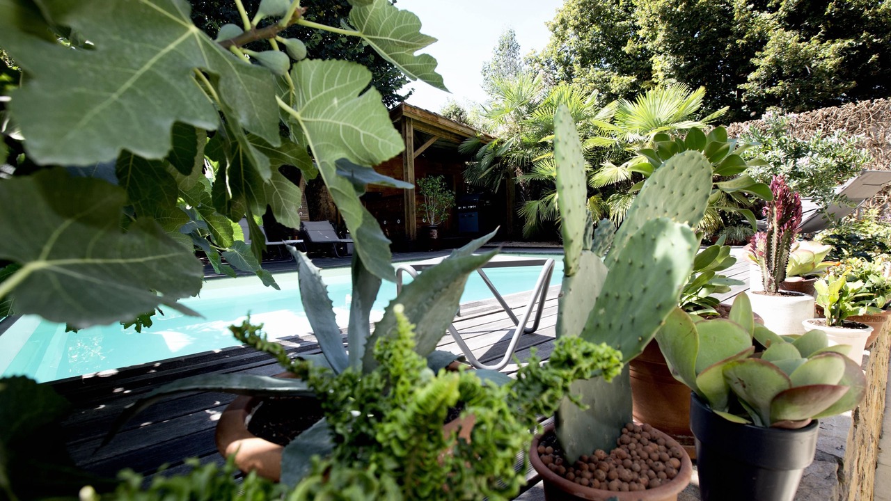 Photo of Outdoor in Montbrison