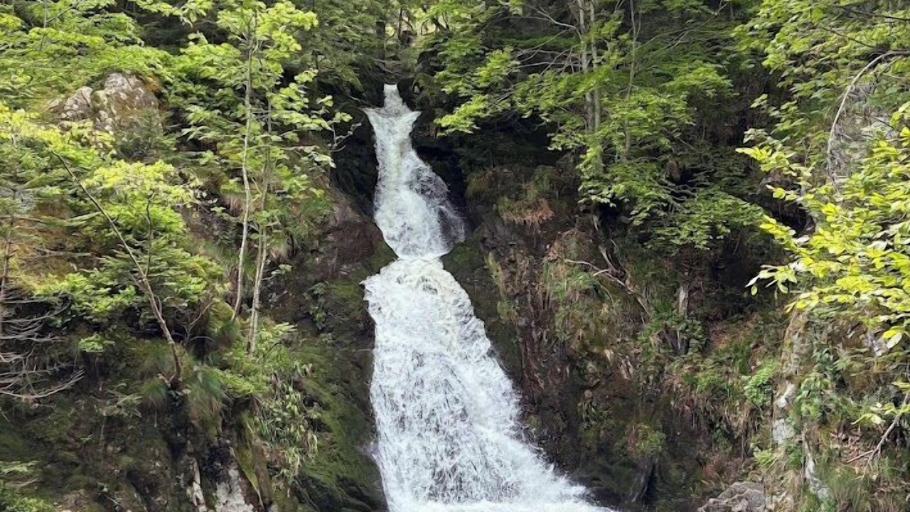 Photo of Outdoor in Montbrison