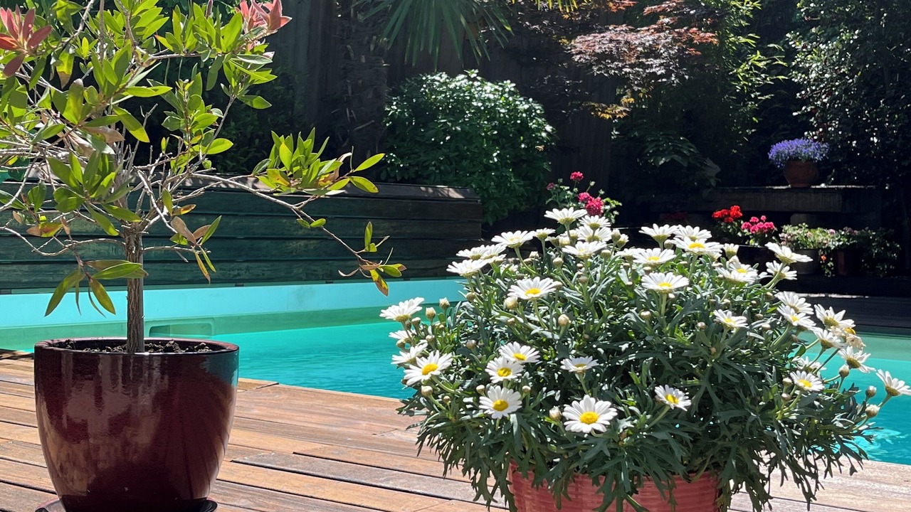 Photo of Outdoor in Montbrison