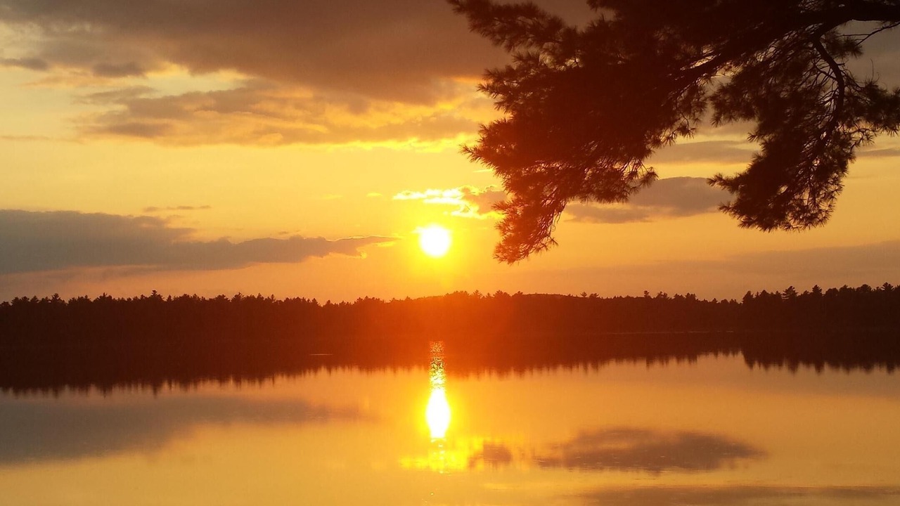 Photo of Others in East Hancock