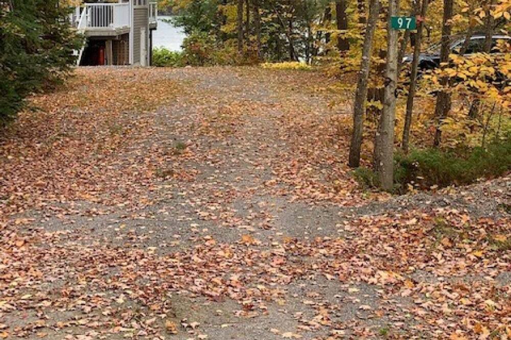 Photo of Outdoor in North Kawartha