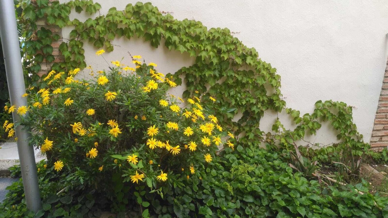 Photo of Outdoor in Baeza