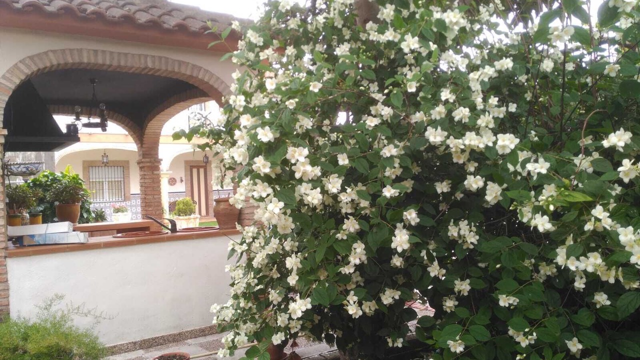 Photo of Outdoor in Baeza