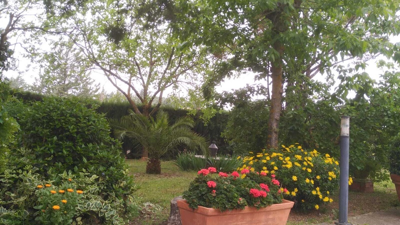 Photo of Outdoor in Baeza